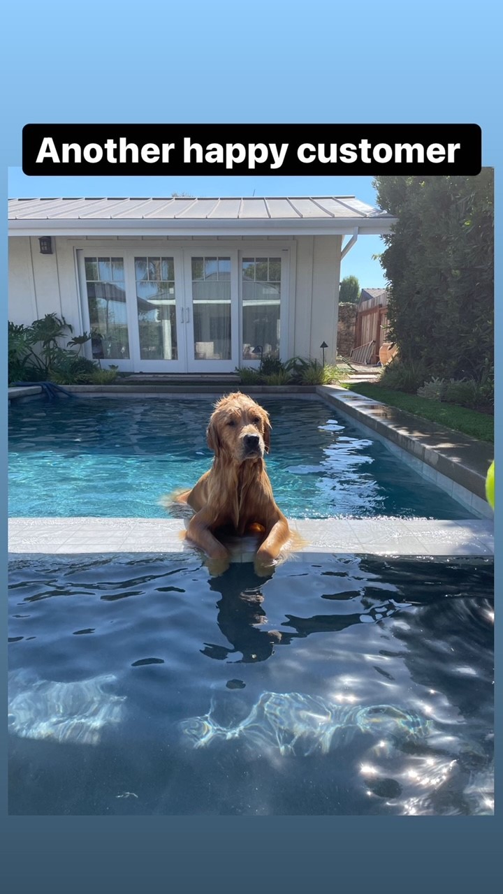 Swimming pool construction customer in newport beach